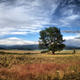 Illustration for article titled Pics: Drove to Leadville this weekend. Brought my MTB. Got a belt buckle.